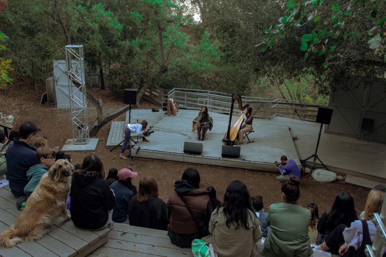 Photo on The Eyes and Ears Agency website